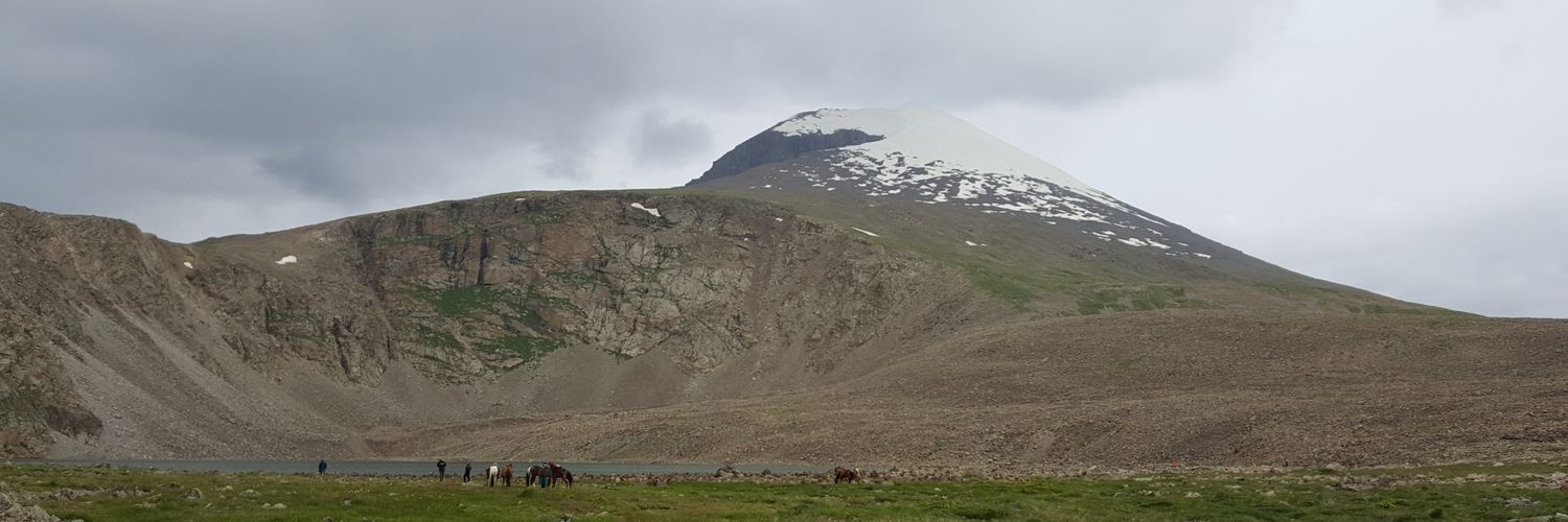 Пумба banner