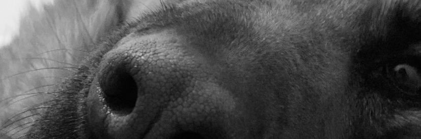 luciaquechic_'s profile banner image