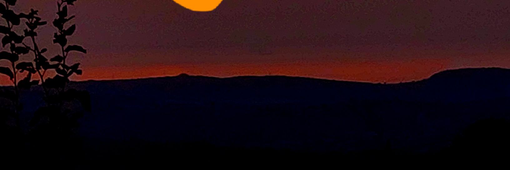 krmemre6's profile banner image
