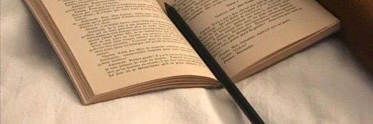 sarangharry_'s profile banner image