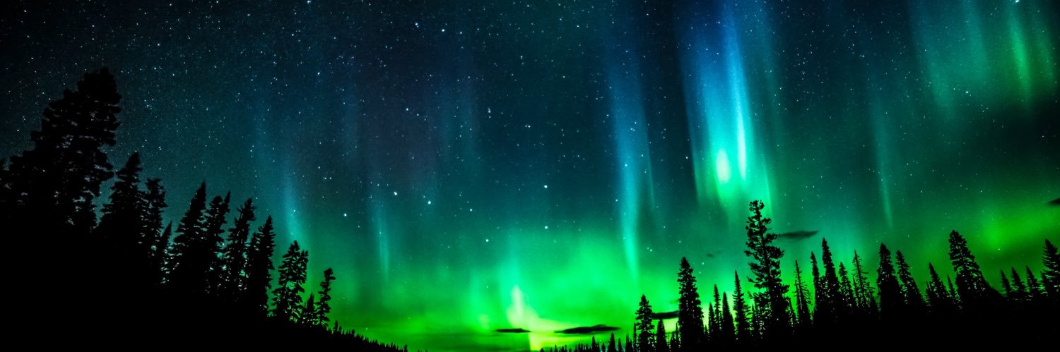 🌘 Mr. F🪶 banner