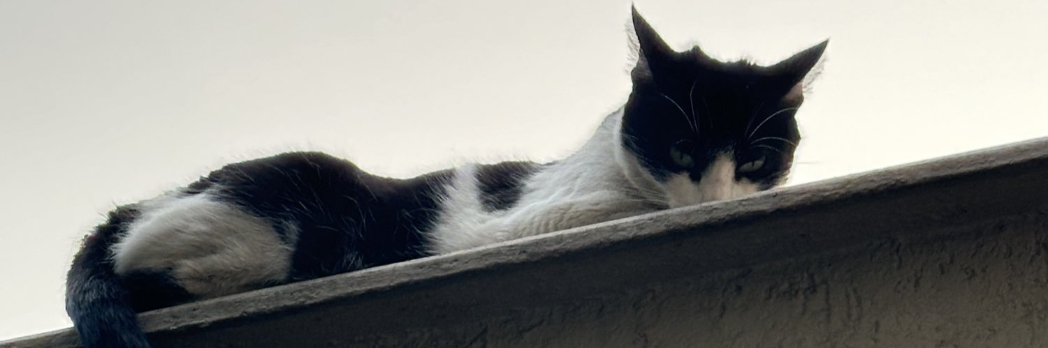augusto_fredd's profile banner image