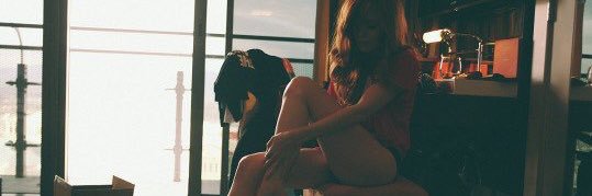 Night Van Dijk. banner