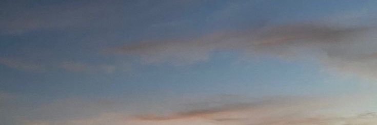 rogvtr's profile banner image