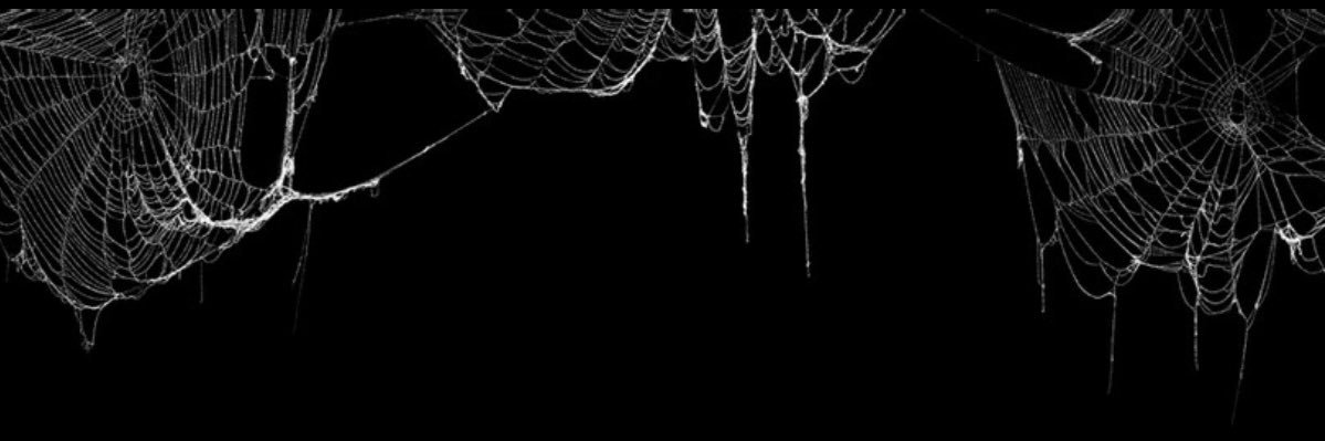 dazeomg's profile banner image