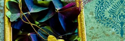 JudithStoep's profile banner image