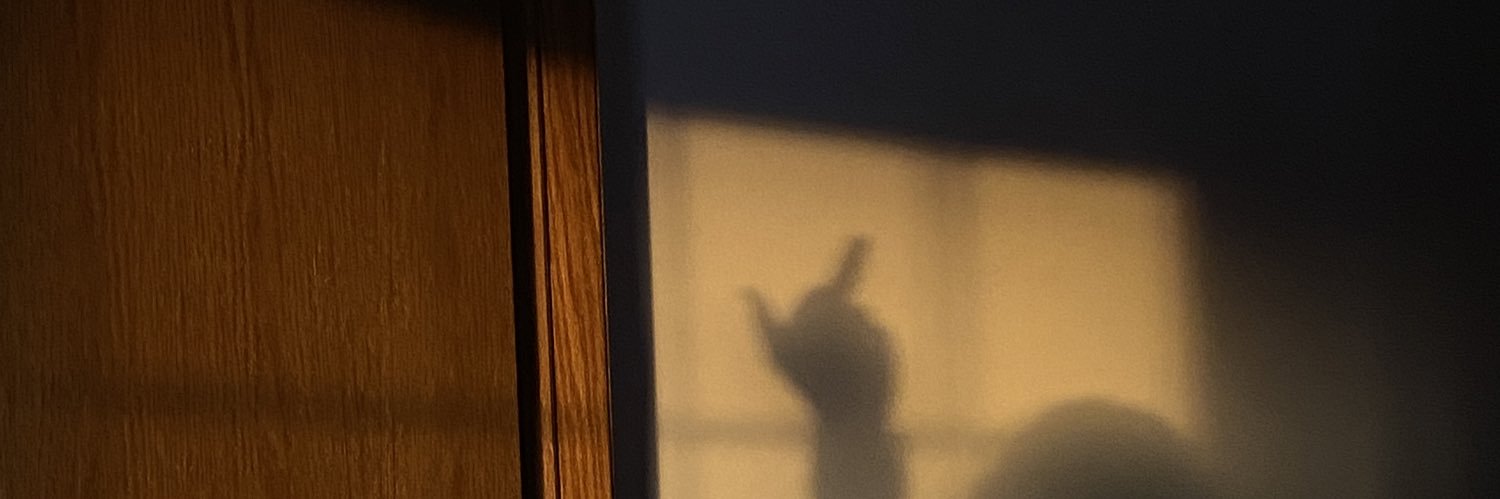 alexvolk22's profile banner image