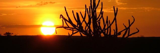 atletasdaserra's profile banner image