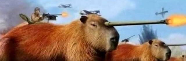 magicraftcat's profile banner image