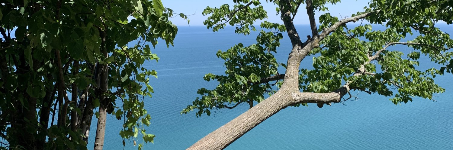 ErinMonigold's profile banner image