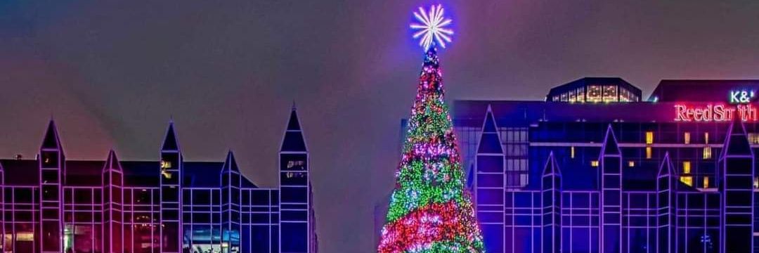 lilas_soukup's profile banner image