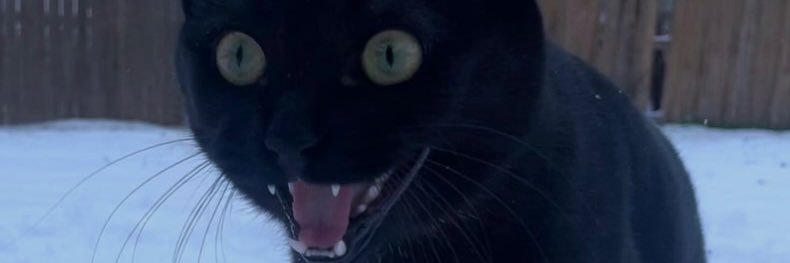 fapersonzz's profile banner image
