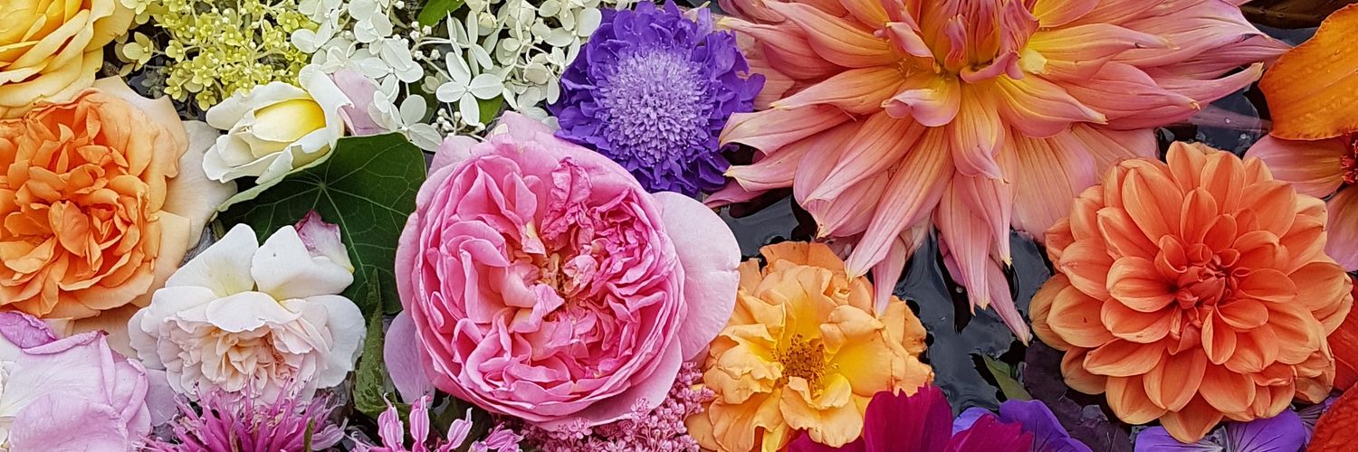 PhilippaJones33's profile banner image