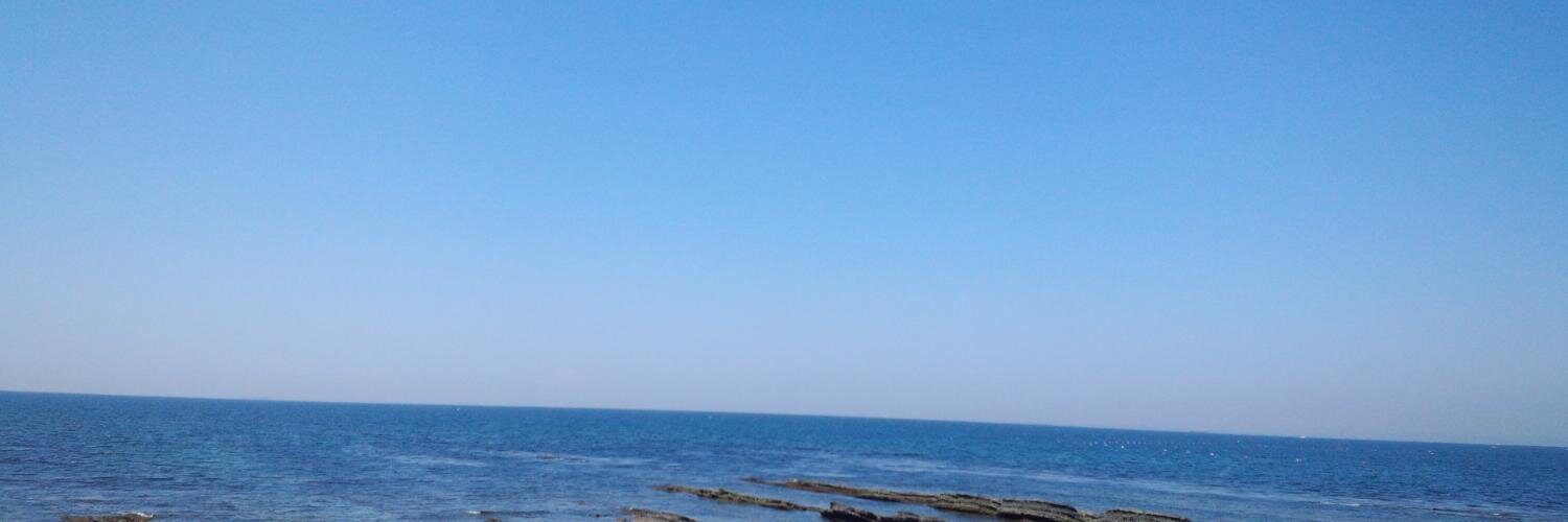 SKsuzuki's profile banner image