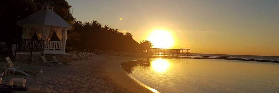 Shelley Evans banner