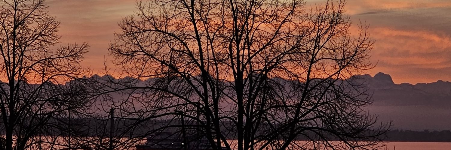stadtzeppelin's profile banner image