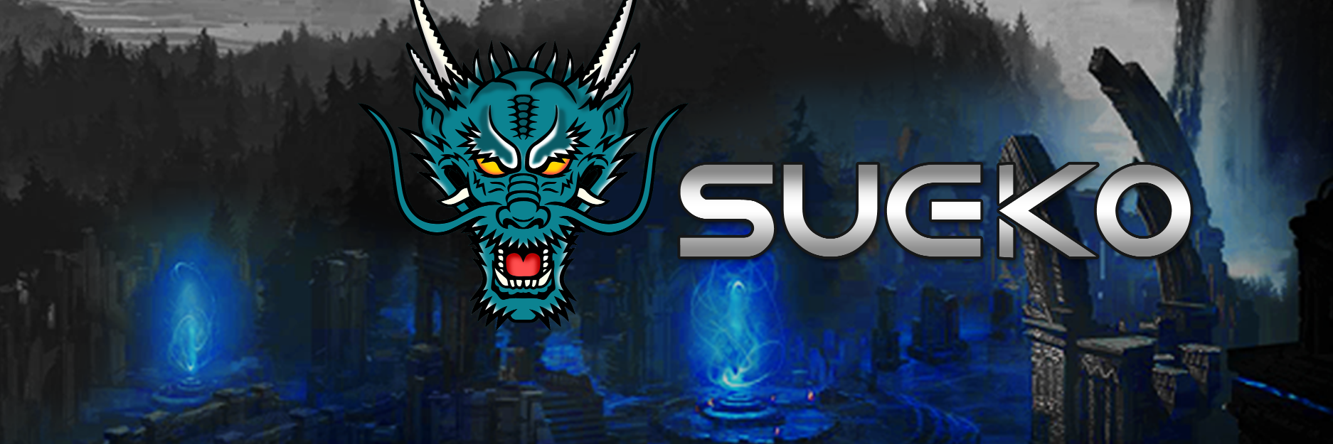 vitorsueko's profile banner image
