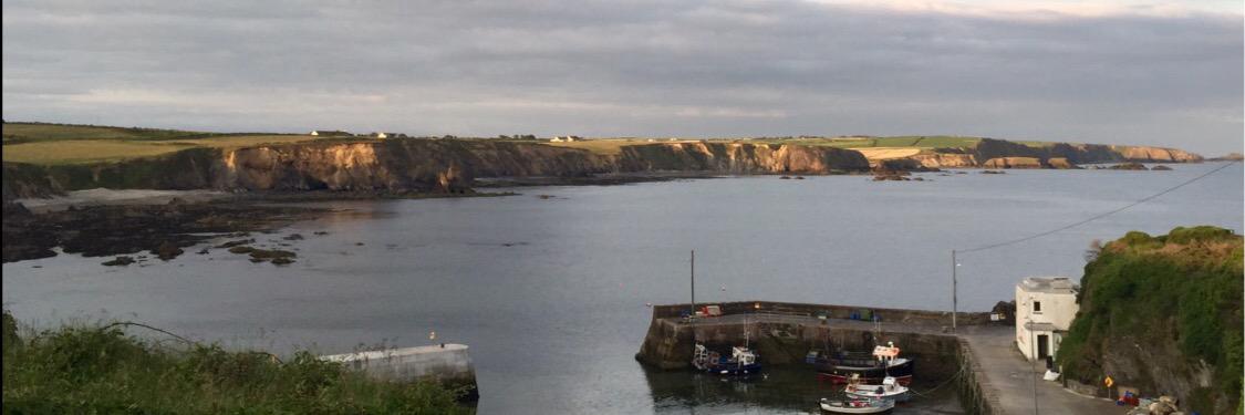 The Copper Hen banner