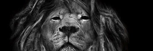 masonwickherst's profile banner image