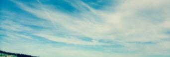 ziehmin's profile banner image
