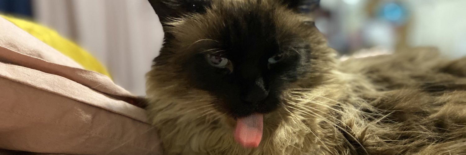 SelanMadison's profile banner image