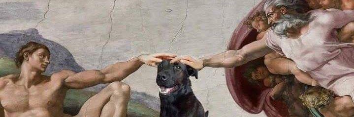 Sergio Biscuit  banner