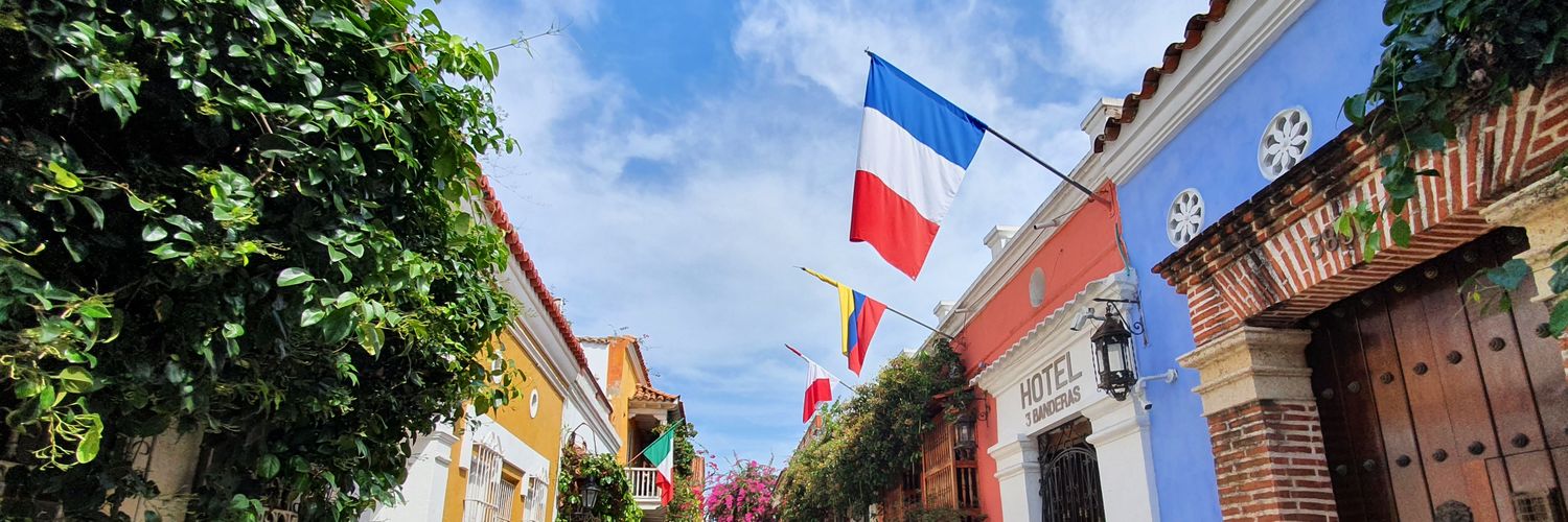 𝚃𝙾𝚃𝙾 banner