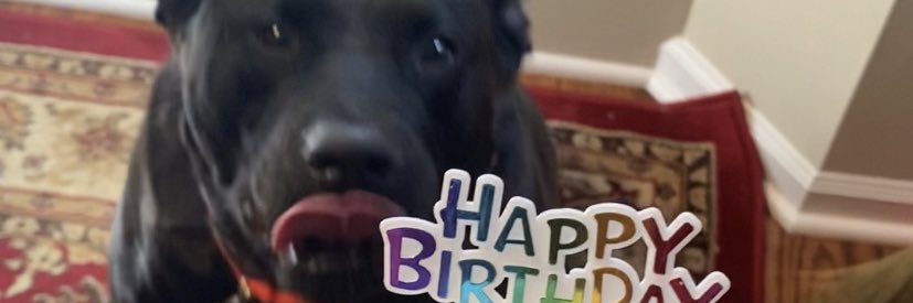 Amberlamode's profile banner image
