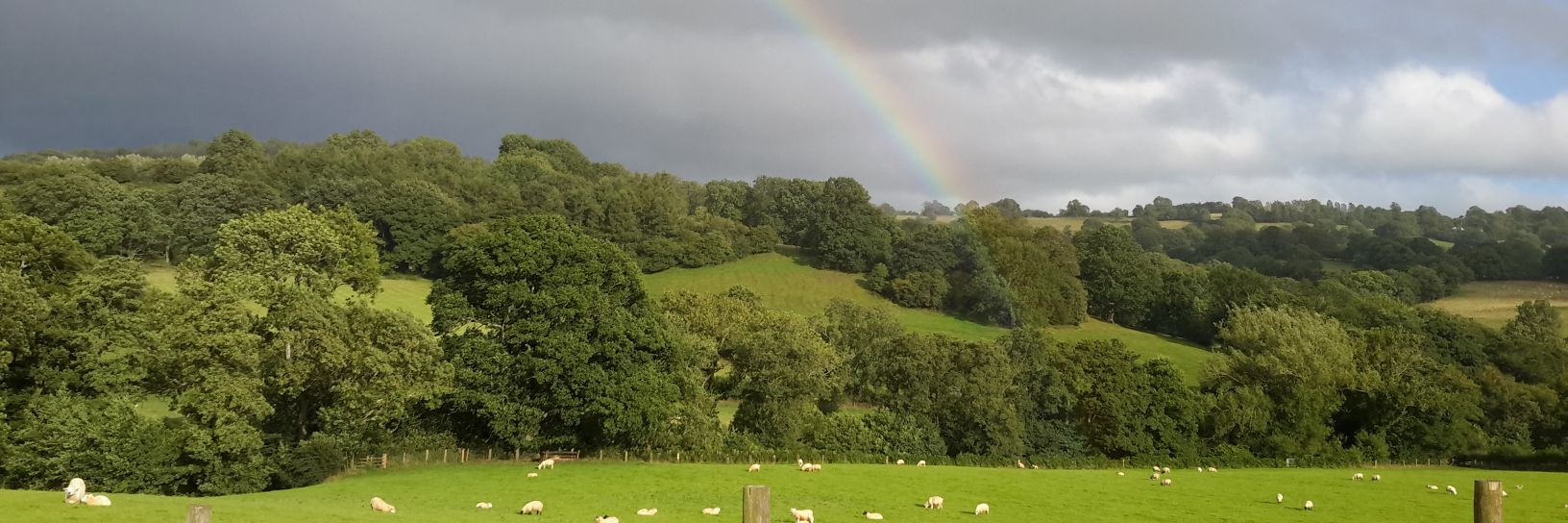 Malcolm Hebron banner