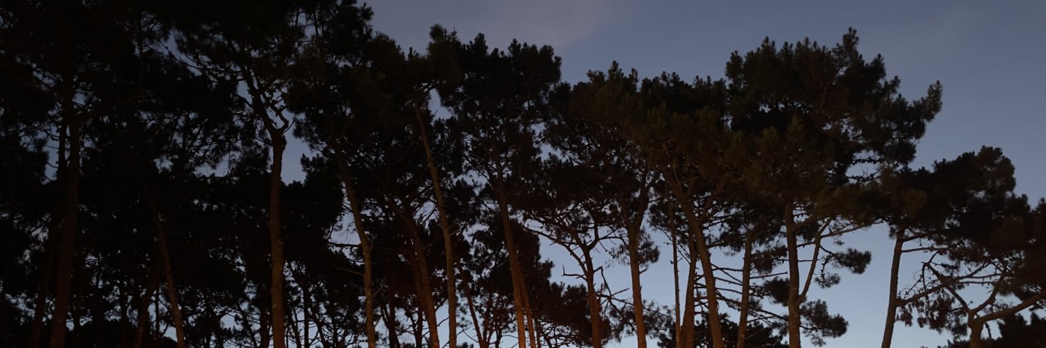 franfilella's profile banner image