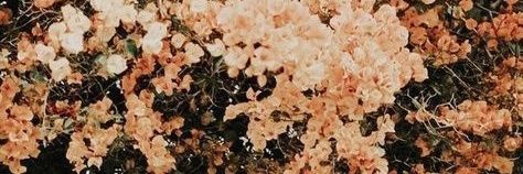 agresvwna's profile banner image