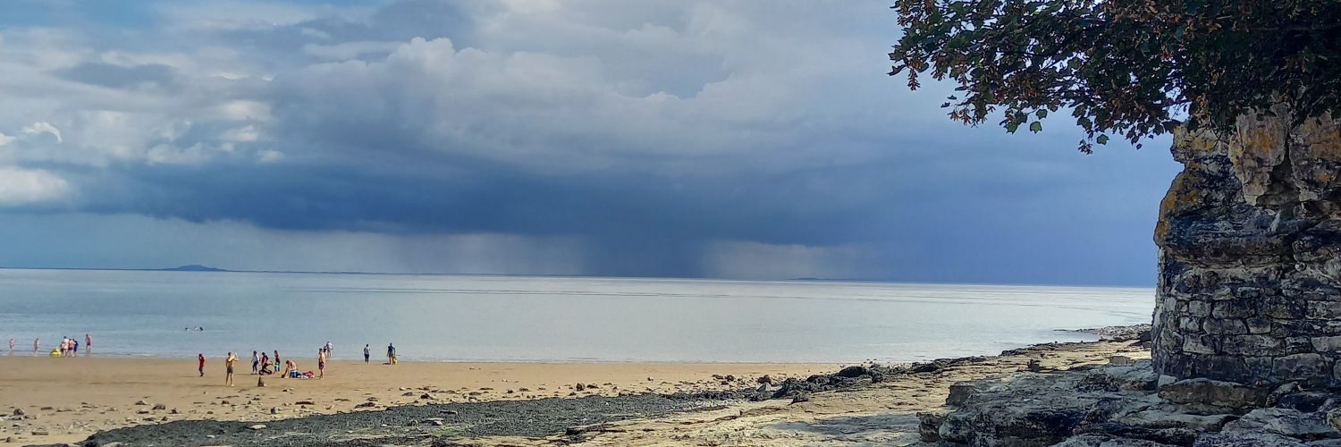 eleanor jones banner