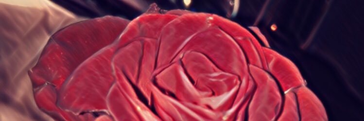 tuleeba's profile banner image