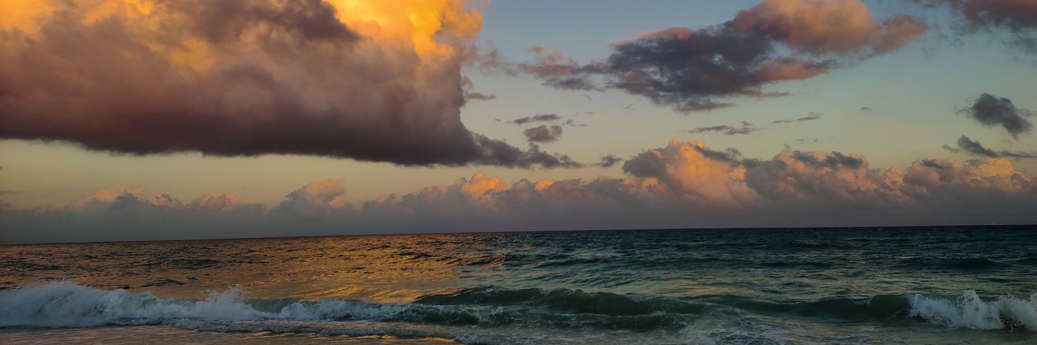 Anttoherrera's profile banner image