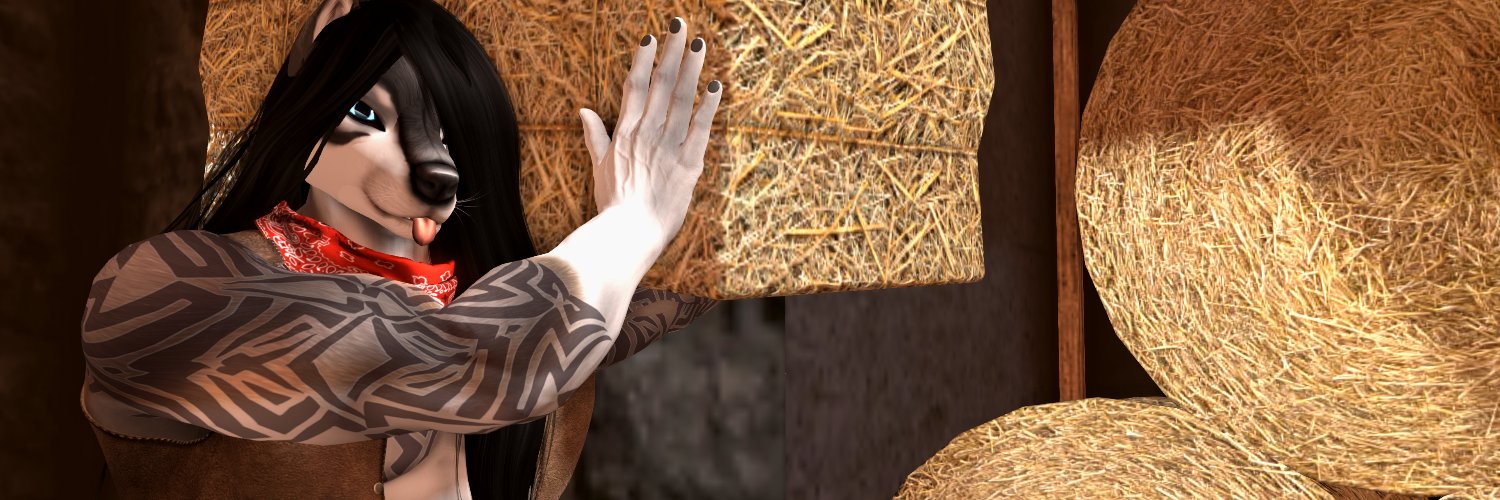 _Shadow_Drake_'s profile banner image