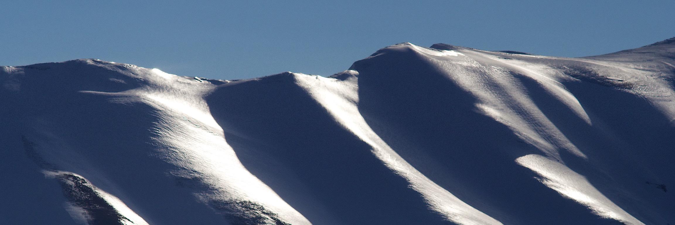 loalesi's profile banner image