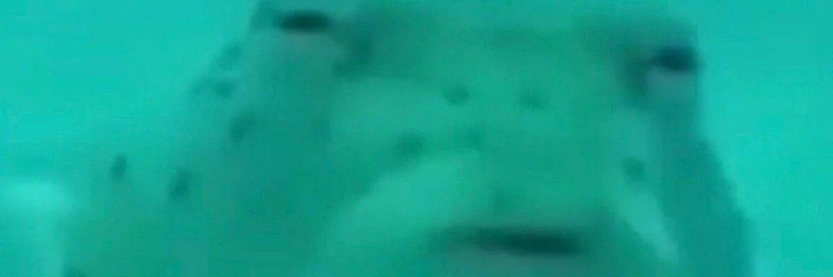 Gun_Master23's profile banner image