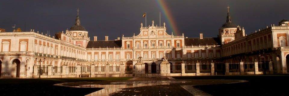 pinired072's profile banner image