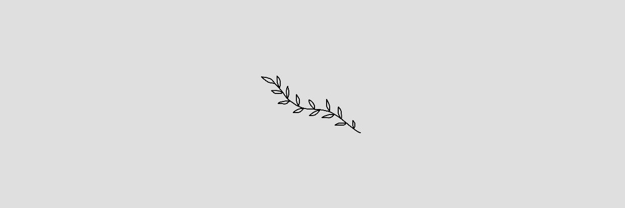 carlsonslight's profile banner image