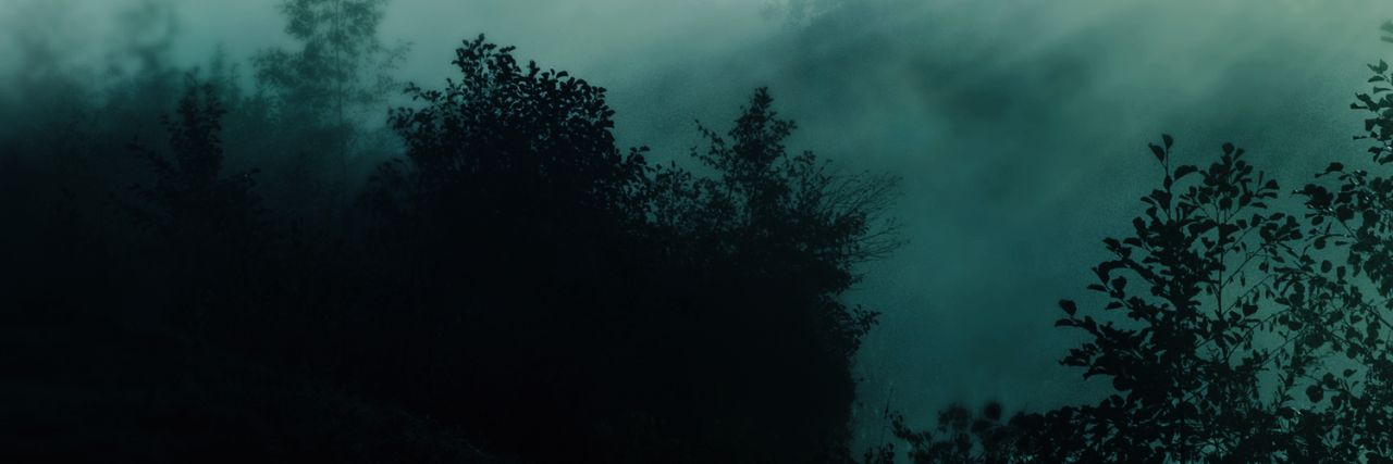 _catniel's profile banner image