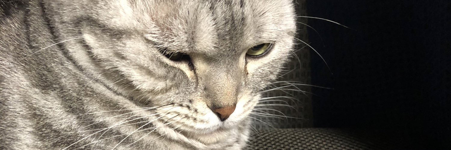 crazyHETARE's profile banner image