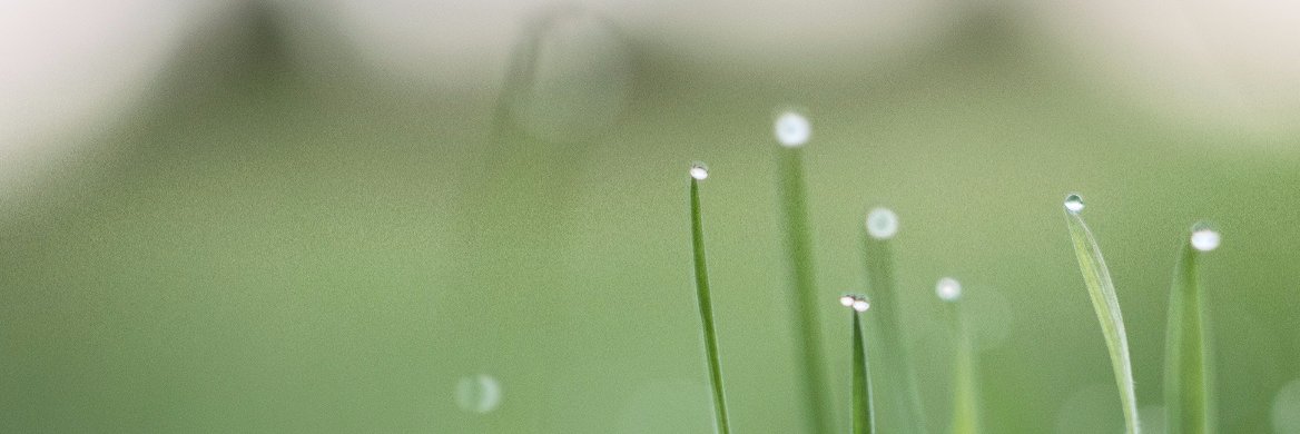 bioeconcircular's profile banner image