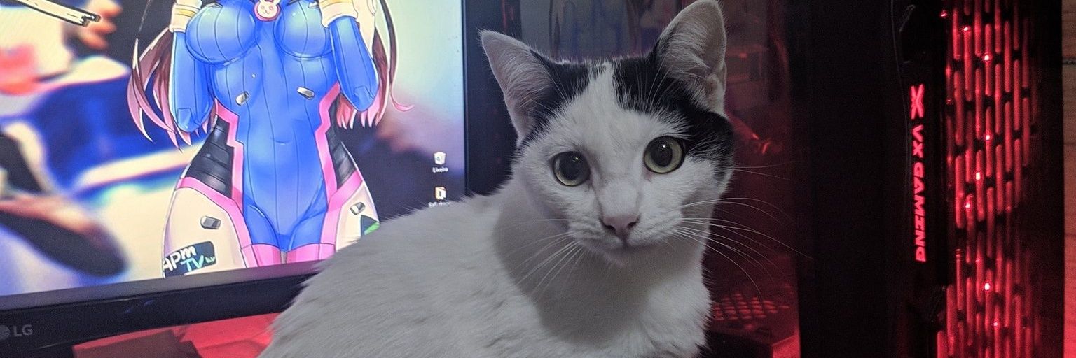samirolol's profile banner image
