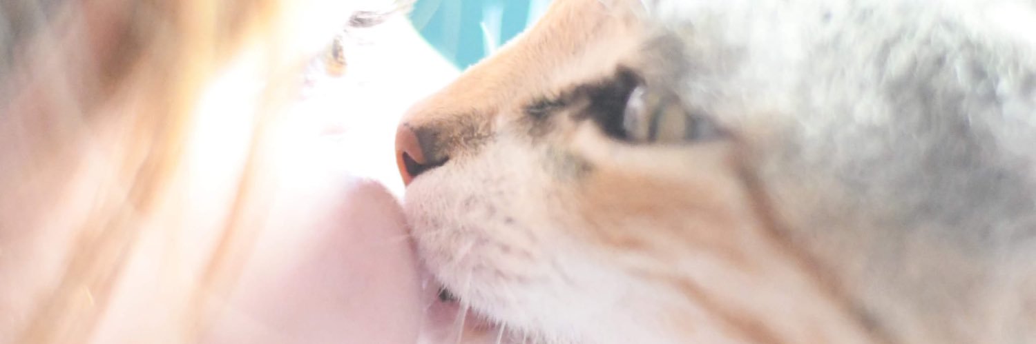 marinaarro's profile banner image