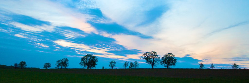 BobWydra's profile banner image