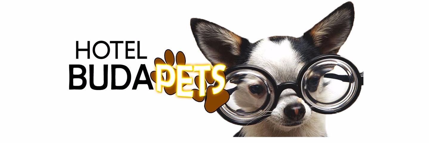 HBudapets's profile banner image