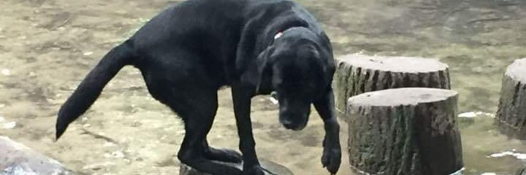 Feet up retired 😎 banner