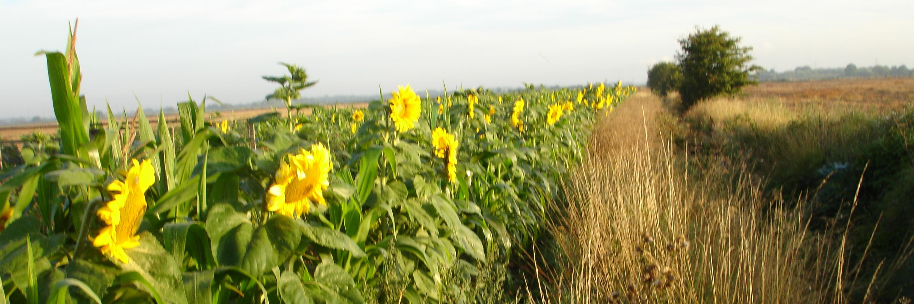 trentlaneshoot's profile banner image