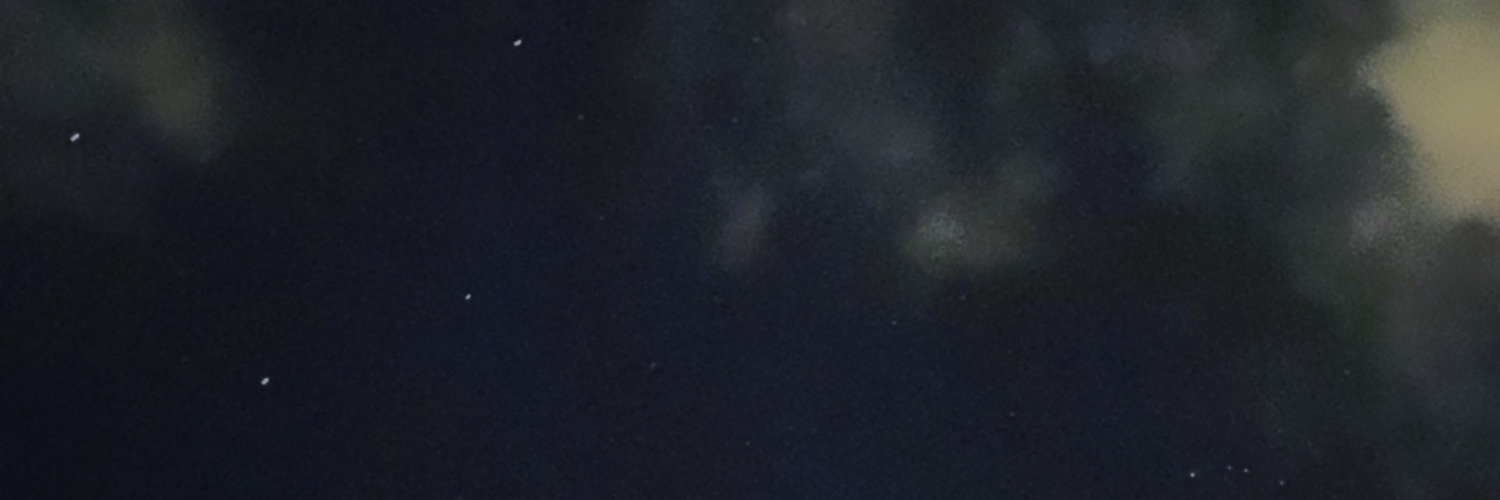 ✧.* Vicky ✧.* banner