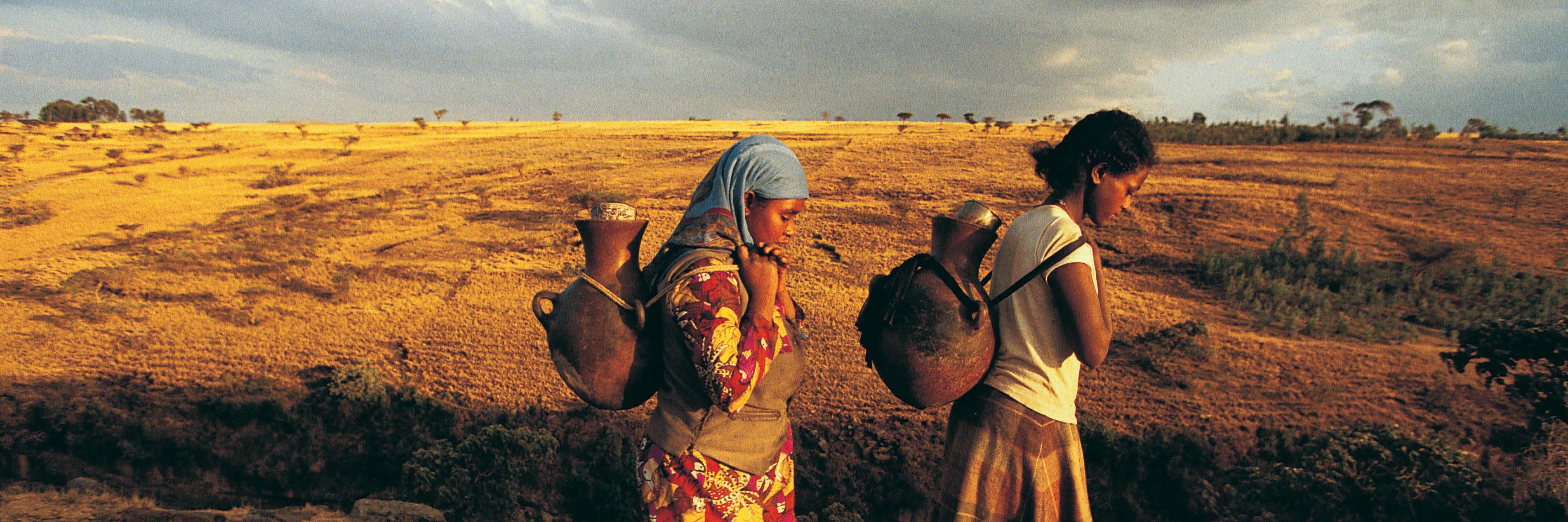 AfricareICT's profile banner image